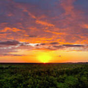 Sunset At Paynes Prairie Preserve State Park, Florida Poster