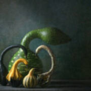 Swan Gourds Poster