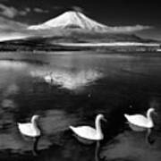 Swans With Mt.fuji Poster