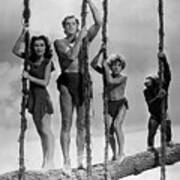 Tarzan, Jane, Boy, And Chimp Poster
