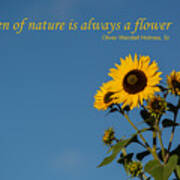 The Amen Of Nature Is Always A Flower Poster