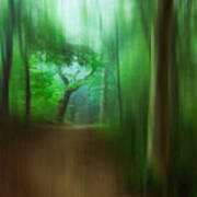 The Blured Forest Path.. Poster