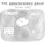 The Brontosaurus Brain Poster
