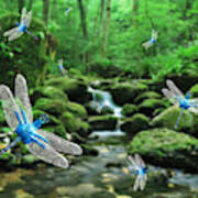 The Dance Of Dragonflies Poster