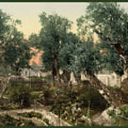 The Garden Of Gethsemane Poster