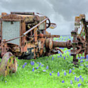 The Old Tractor And Bluebonnets Poster