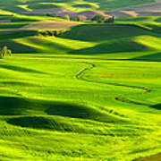 The Palouse Rolling Hills Poster