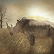 The Rhinoceros Poster