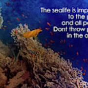 The Sealife Is Important To The Planet And All People Poster