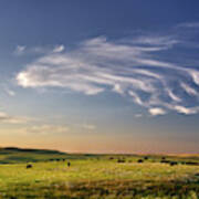 Theodore Roosevelt Np North Unit - Bison With Beautiful Clouds Poster