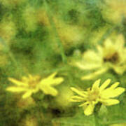Thinking Of Yellow 4620 Idp_2 Poster