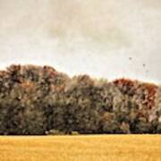 Three Crows And Golden Field Poster