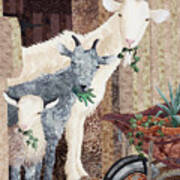 Three Goats And A Wheelbarrow Poster