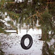 Tire Swing Hanging From Tree At Playground Poster