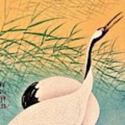 Top Quality Art - Two Japanese Crane Poster