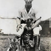 Trainer With Tiger Cubs Poster