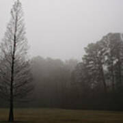 Tree In Fog 2 Poster