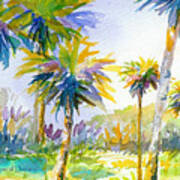 Tropical Dreams Poster