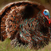Turkey In The Straw Poster
