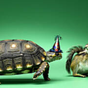 Turtle And Chipmunk Wearing Party Hats Poster