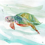 Turtle Tropics 2 Poster