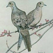 Two Birds On Branch Poster