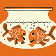 Two Goldfish In An Aquarium Poster