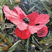 Umbrian Poppies 1 Poster