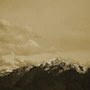 Utah Mountain In Sepia Poster