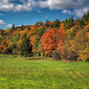 Vermont Autumn Colors Poster