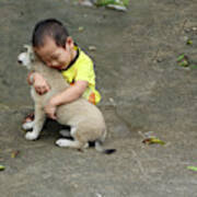 Vietnamese Boy And Puppy Hugs Poster