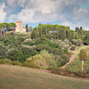 Vineyard Morning Tuscany Italy Poster