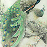Vintage Art - Pair Of Peacocks In Tree Poster