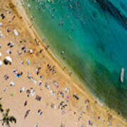 Waikiki Beach Life From Above Poster