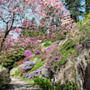 Walk In Spring Eden. Heavenly Blooms 1 Poster
