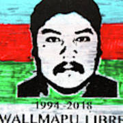 Wallmapu Libre Poster