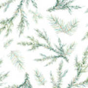 Watercolor Christmas Tree Branches Poster