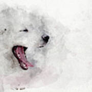 Watercolor Image Of White Puppy Dog Yawning. Poster