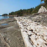 Weathered Driftwood And Rock Formations Poster