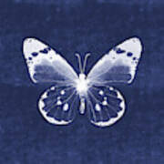 White And Indigo Butterfly 1- Art By Linda Woods Poster