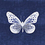 White And Indigo Butterfly- Art By Linda Woods Poster