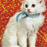 White Cat With Blue Ribbon Poster