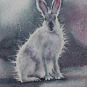 White Rabbit Poster