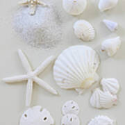 White Shells Poster