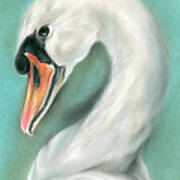 White Swan Portrait Poster