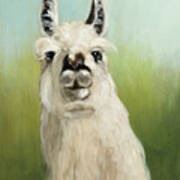 Whos Your Llama I Poster