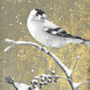 Winter Birds Goldfinch Neutral Poster