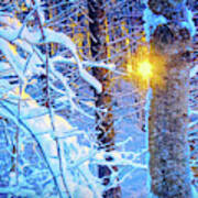 Winter Light Poster