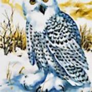 Winter Snowy Owl Poster