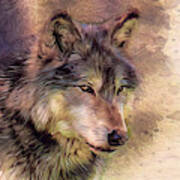 Wolf Alert Poster